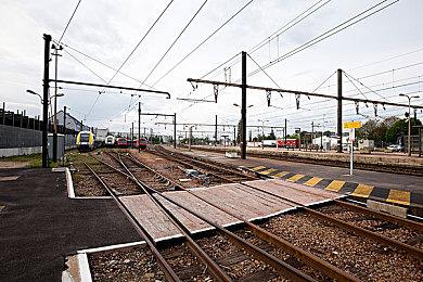 解密游戏《奇异园艺》1月21日发售 支持简体中文